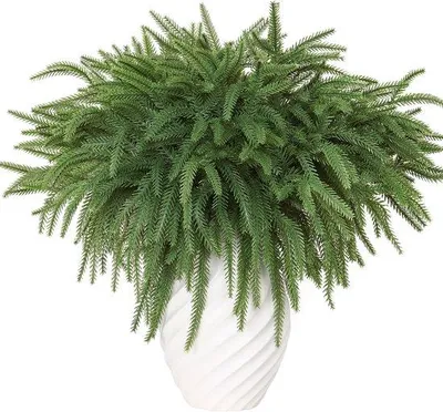 Immagine prodotto di Rami di Natale artificiali fai da te - Piante artificiali per interni ed esterni - Decorazioni per la casa (6)
