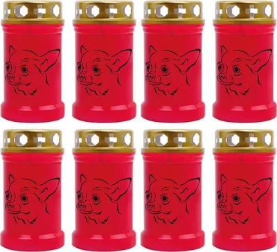 Produktbild von Grabkerze Rot 8er Pack, Brenndauer: 40 Stunden ( je Kerze ), Motiv: Chihuahua