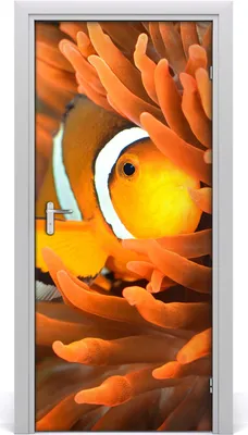 Produktbild von Tulup Türaufkleber 95x205 cm Dekorative Aufkleber Selbstklebend Wasserdichte Tapete Abnehmbar Schlafzimmer Wohnzimmer Wohnkultur - Klebstoff Nauti Fisch