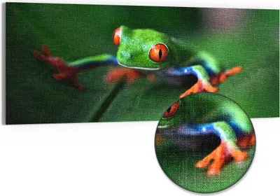 Produktbild von DEQORI Hybrid Leinwand Bild 125x50 cm 'Grüner Frosch im Laub' Wandbild Glas flach modern