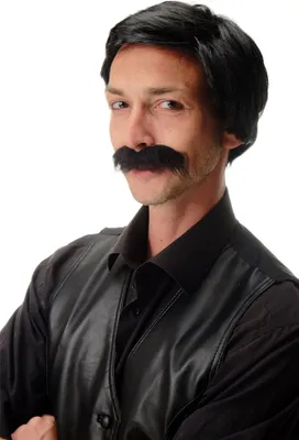 Produktbild von WIG ME UP Perücke Bart Schwarz Gentleman 4129-P103