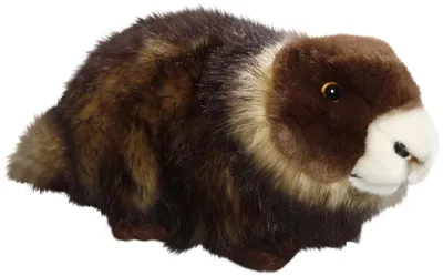 Immagine prodotto di Carl Dick Marmotta sdraiato di circa 23 cm 3535 Peluche, peluche, peluche