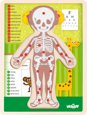 Immagine prodotto di Puzzle "Corpo umano" - Ragazza IT