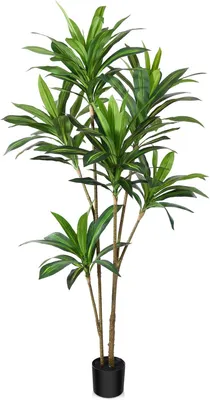 Obrázek produktu pro Umělý dračinovník, tropická rostlina, exotický, realistický, zelený, 180 cm