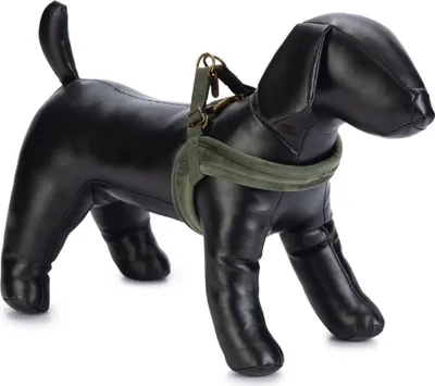 Produktbild von Designed by Lotte Hundegeschirr Velura