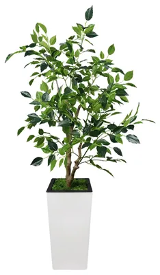 Image de Ficus artificiel - Arbre décoratif de 120 cm - Feuilles en soie réalistes - Résistant aux UV - Tige en bois - Facile d'entretien, idéal pour l'intérieur - Grand pot blanc