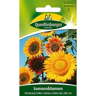 Immagine prodotto di Girasole Quedlinburg miscela di varietà alte - semi di fiori