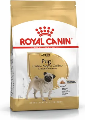 Zdjęcie produktu dla Royal Canin Pug Adult, Dorosły, Drób, 1,5 kg