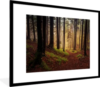 Produktbild von MuchoWow® Gerahmtes Poster Bäume - Natur - Wald 80x60 cm - Poster mit Schwarzem Bilderrahmen Wandposter Rahmen Foto Bilder - Schlafzimmer-Dekorationen - Fotoposter