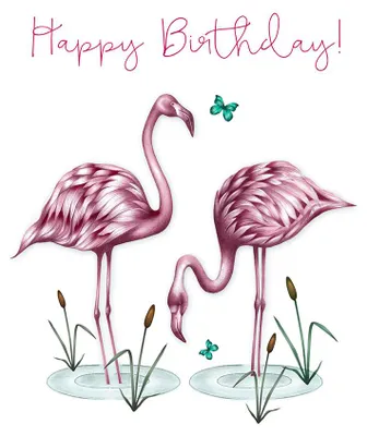 Image de Carte de vœux avec un cristal Swarovski : flamants roses d'anniversaire