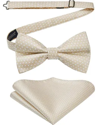 Produktbild von Herren Fliege mit Einstecktuch Set Beige Vorgebunden Polyester Geschenkbox