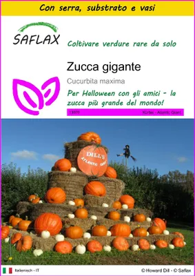Immagine prodotto di SAFLAX Insieme di coltivazione - Zucca gigante  - 7 semi - Cucurbita