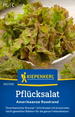 Produktbild von Kiepenkerl Pflücksalatsamen Amerikaanse Roodrand Lactuca sativa 10-12 lfd. Meter
