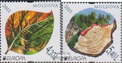 Produktbild von Briefmarken Moldawien 2011 Mi 749-750 (kompl.Ausg.) postfrisch Der Wald