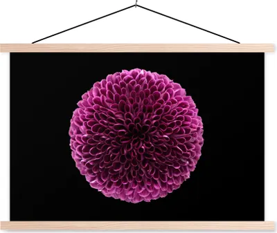 Produktbild von MuchoWow® Textilposter Eine kugelförmige lila Chrysanthemenblüte auf schwarzem Hintergrund 60x40 cm mit holzfarbenen Rahmen - Bilder