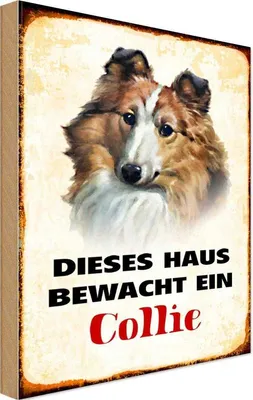 Produktbild von vianmo Holzschild 18x12 cm Hund dieses Haus bewacht ein Collie Tier Haustier