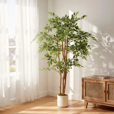 Zdjęcie produktu dla Sztuczne drzewo banianowe 150 cm, pień z drewna, biała doniczka