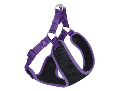 Produktbild von Geschirr "Black Mesh Reflect", lila, L