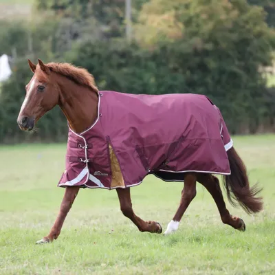 Image de Highlander Plus - Couverture de cheval standard ER1629 (168cm) (Bordeaux)
