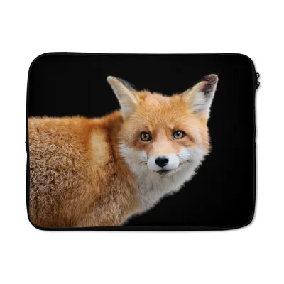 Produktbild von MuchoWow® Laptop Hülle 15 Zoll Fuchs - Tier - Porträt Laptoptasche - Laptoptasche - Sleeve - Rundum-Schutz