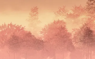 Produktbild von Komar Fototapete bewaldete Landschaft Pfirsichorange Rosa - 611232 - 400 x 250 cm