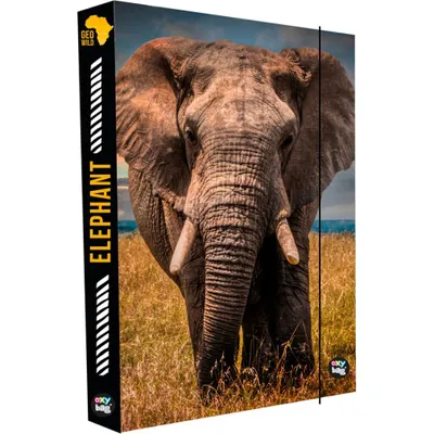 Immagine prodotto di OXYBAG A4 Jumbo Elephant scatola per quaderni