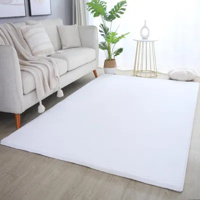 Image de Homebyhome Tapis à Poils Longs Doux Uni Effet Fourrure Moelleux Peluche Super Confortable pour Salon, Taille: 160x230 cm