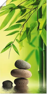 Produktbild von ARTland Poster Spa Stillleben Größe: 30x60 cm