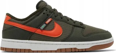 Produktbild von Schuhe Nike Dunk Retro Next Nature DD3358300