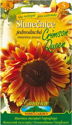 Image de CRIMSON QUEEN tournesol, orange, 15 graines