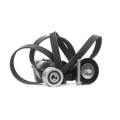 Produktbild von INA 529 0043 20 Keilrippenriemensatz für BMW 3 Touring (E91)