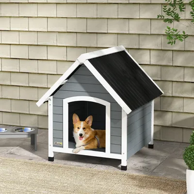 Immagine prodotto di Canile per cani - Cuccia per cani - Canile esterno - Cuccia esterna - Casetta per cani - Legno di pino sostenibile