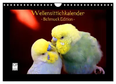 Produktbild von Wellensittichkalender - Schmuck Edition (Wandkalender 2027 DIN A4 quer), CALVENDO Monatskalender