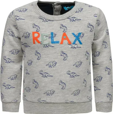 Produktbild von Graues Dinosaurier-Sweatshirt für Jungen Lief