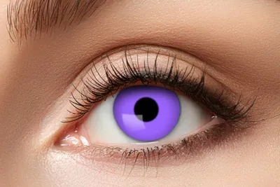 Produktbild von Kontaktlinsen Zoelibat Eyecatcher Purple Gothic 3 Monatslinsen Lila ohne Sehstärke