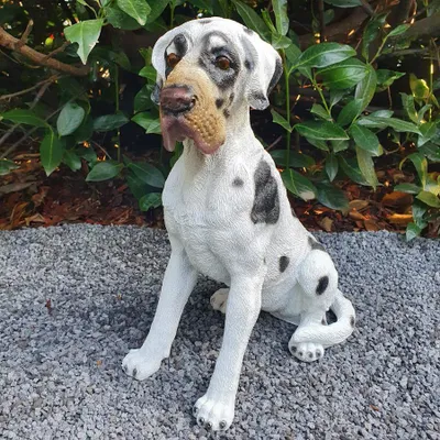 Produktbild von Gartenfigur sitzende Dogge Figur in weiß 36 cm