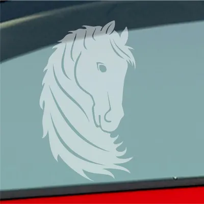 Produktbild von Auto Aufkleber Pferd Horse Pony Pferdeliebhaber Reiten 15x9 cm Milchglas Sticker Heckscheibenaufkleber