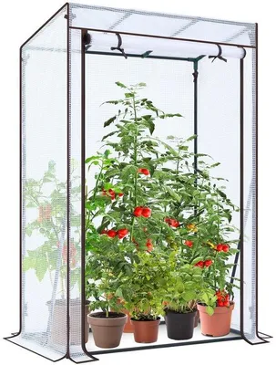 Produktbild von Famanu Tomatenhaus mit PE-Abdeckung - 100 x 50 x 152 cm, stabil und weiß