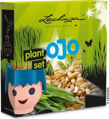Image de LECHUZA 190-90 OJO Kit de plantation, multicolore