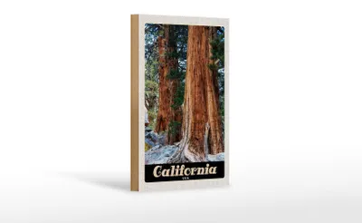Produktbild von Holzschild Reise 12x18 cm California Amerika Natur Wald Bäume