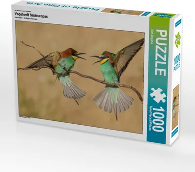 Produktbild von CALVENDO Puzzle Ein Motiv aus dem Kalender Vogelwelt Südeuropas | 1000 Teile Lege-Größe 64x48cm Foto-Puzzle für glückliche Stunden