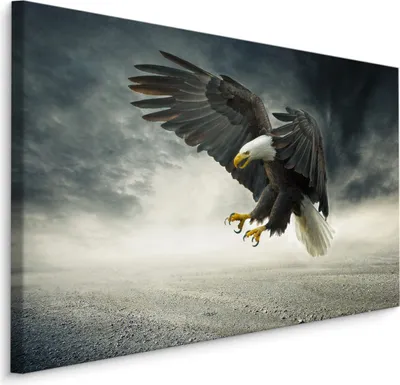 Produktbild von Fabelhafte Canvas LEINWAND BILDER 30x20 cm XXL Kunstdruck Natur Adler Gewitter