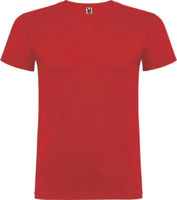 Productafbeelding van Roly - T-shirt "Beagle" voor kinderen, korte mouwen, model PF4303 (92) (Paars)