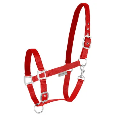 Zdjęcie produktu dla Waldhausen perlon halter satin