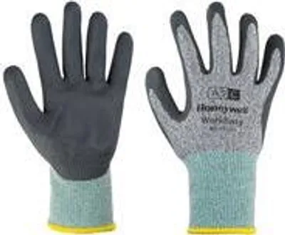 Image de Honeywell WE23-5313G-10/XL