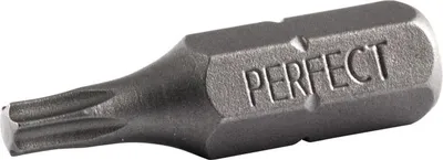 Immagine prodotto di Punta STALCO TORX T10x25 in acciaio S2, punta di precisione