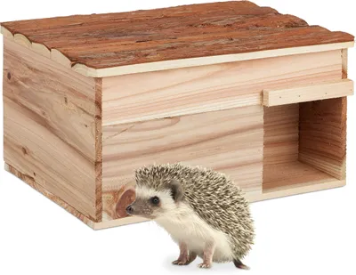 Image de Relaxdays Maison pour hérissons, en bois, abri pour hérissons avec fond, à l'abri des chats, refuge d'hiver pour hérissons de jardin, dimensions : 21 x 40 x 30 cm, couleur naturelle