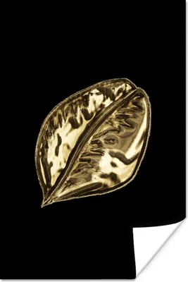 Produktbild von MuchoWow® Poster Blatt - Schwarz und Gold - Pflanze 80x120 cm - Papierdruck