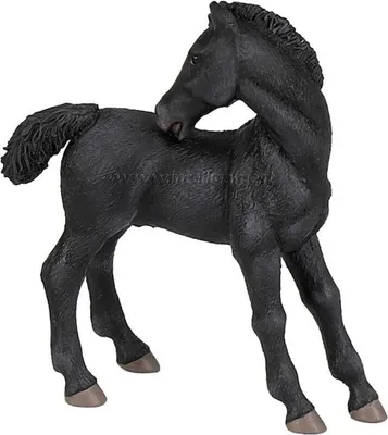 Produktbild von Papo 51100 Lipizzaner-Hengstfohlen