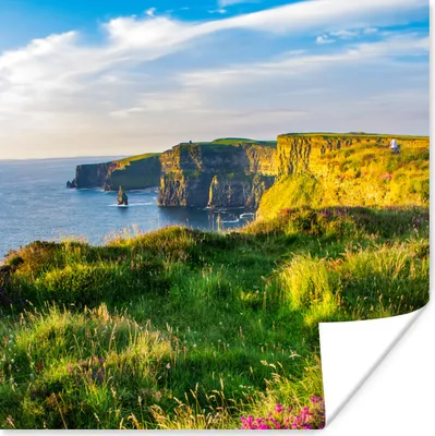 Produktbild von MuchoWow® Poster Irische Blumen an den Cliffs of Moher 100x100 cm - Babyzimmer